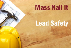 Lead Safety (2026)